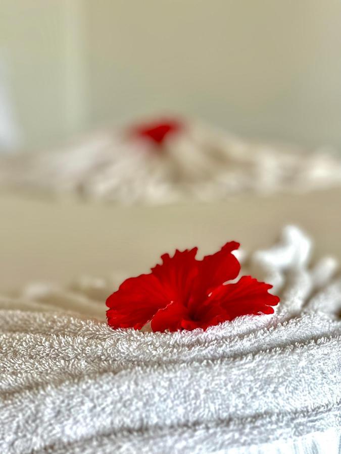 Jambiani White Sands Bungalows Екстер'єр фото