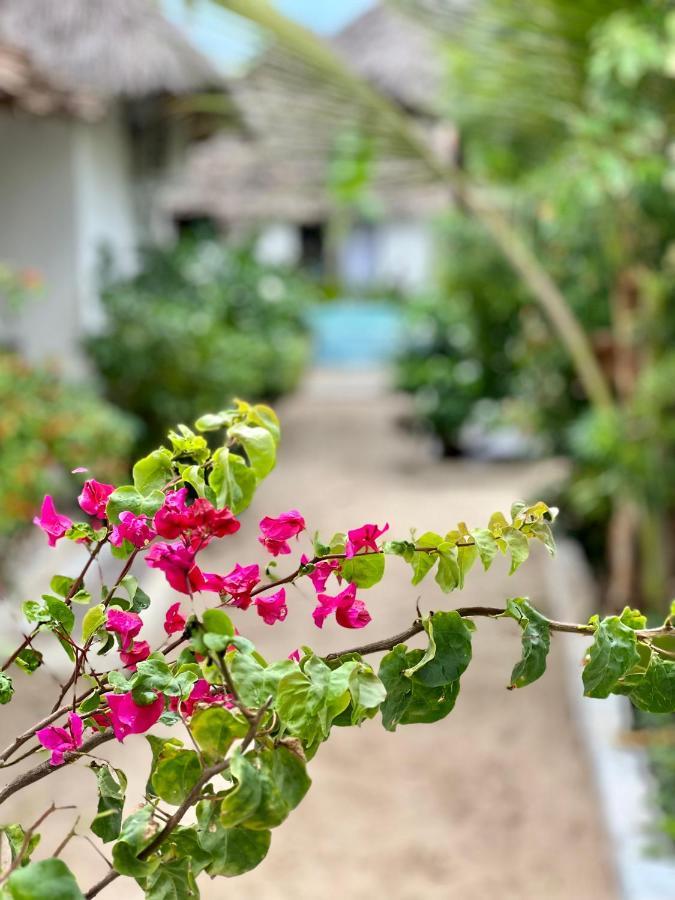 Jambiani White Sands Bungalows Екстер'єр фото