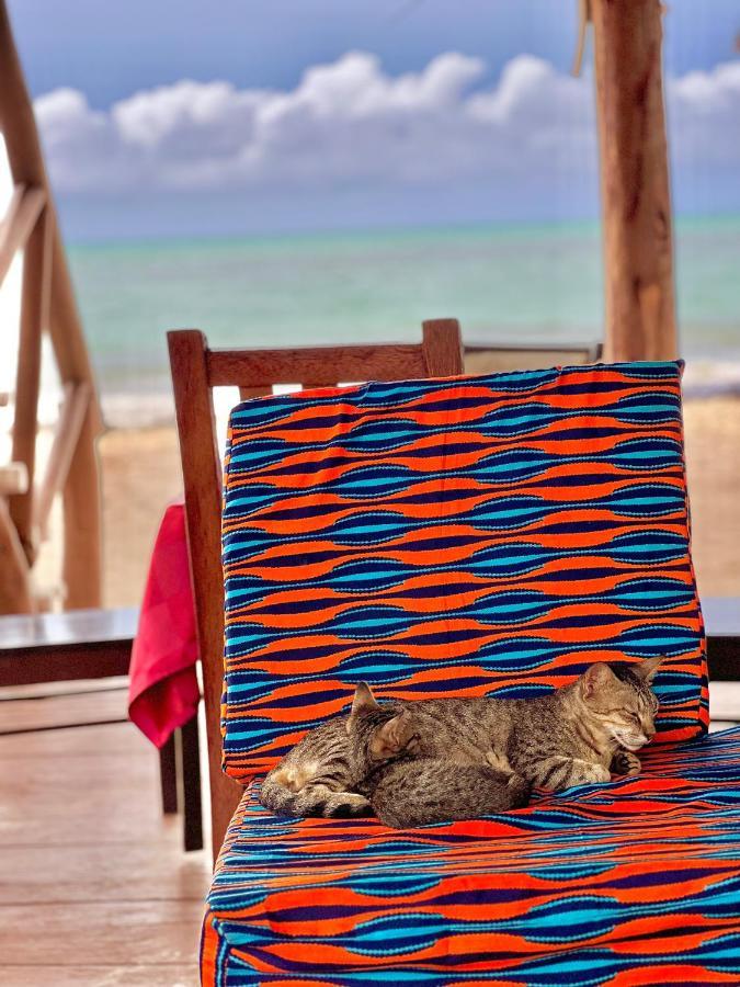 Jambiani White Sands Bungalows Екстер'єр фото