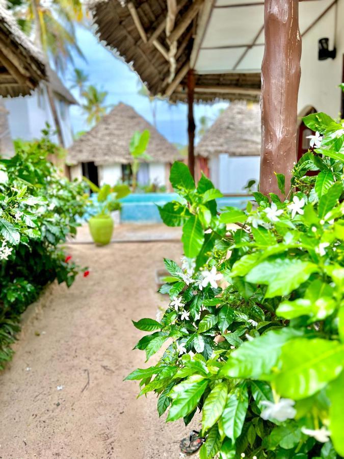 Jambiani White Sands Bungalows Екстер'єр фото